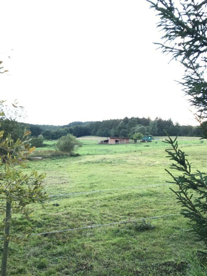 Ferienwohnung Goebel Kelberg Esterno foto